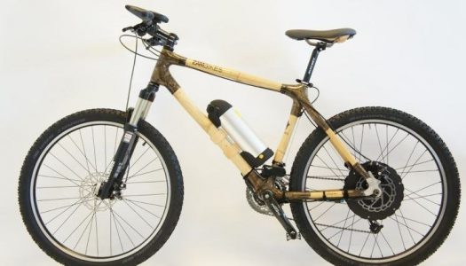 The Beast – erstes MTB-E-Bike aus Bambus kommt aus Dänemark
