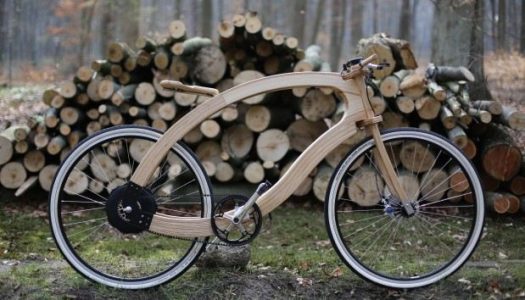 Wood E-Bike — Pedelec aus Eschenholz