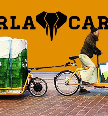 Carla Cargo Fahrradanhänger mit E-Antrieb