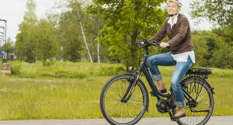 FISCHER Vital E-Bike 2016