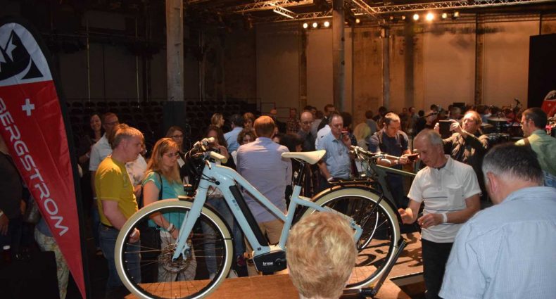 Bergstrom Präsentation 2016