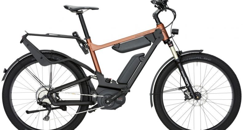 Riese & Müller 2017