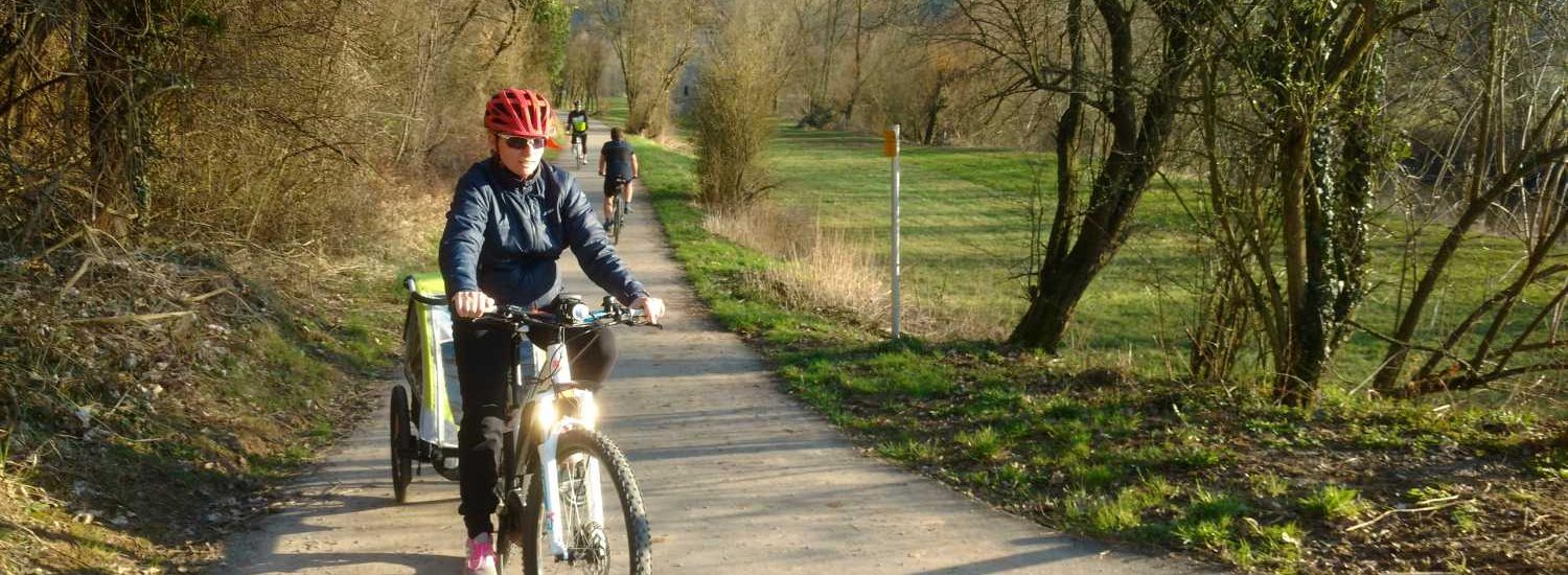 fahrradanhaenger pedelec