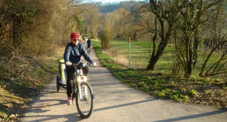 fahrradanhaenger pedelec