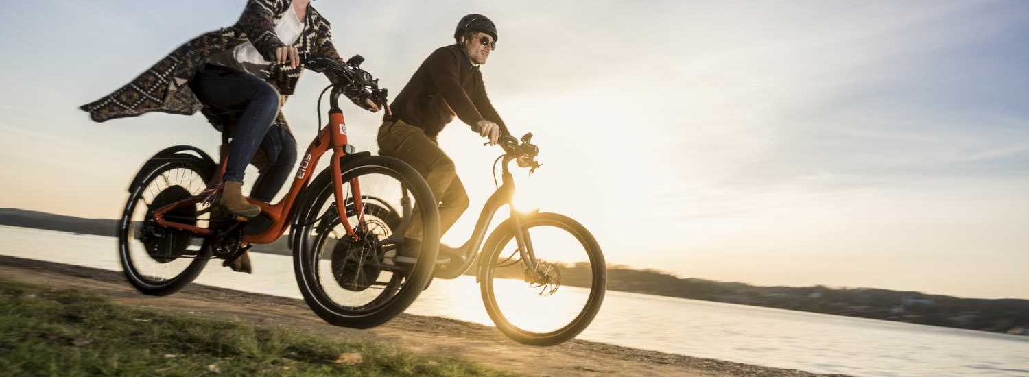 Elby E-Bike