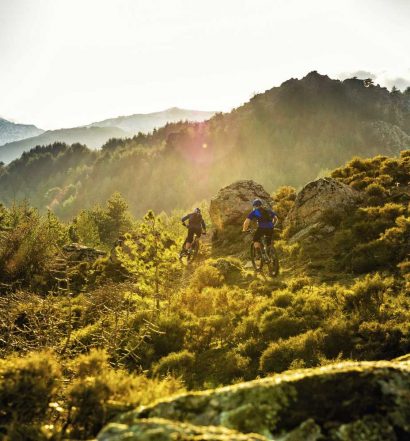 Trek Powerfly 2018