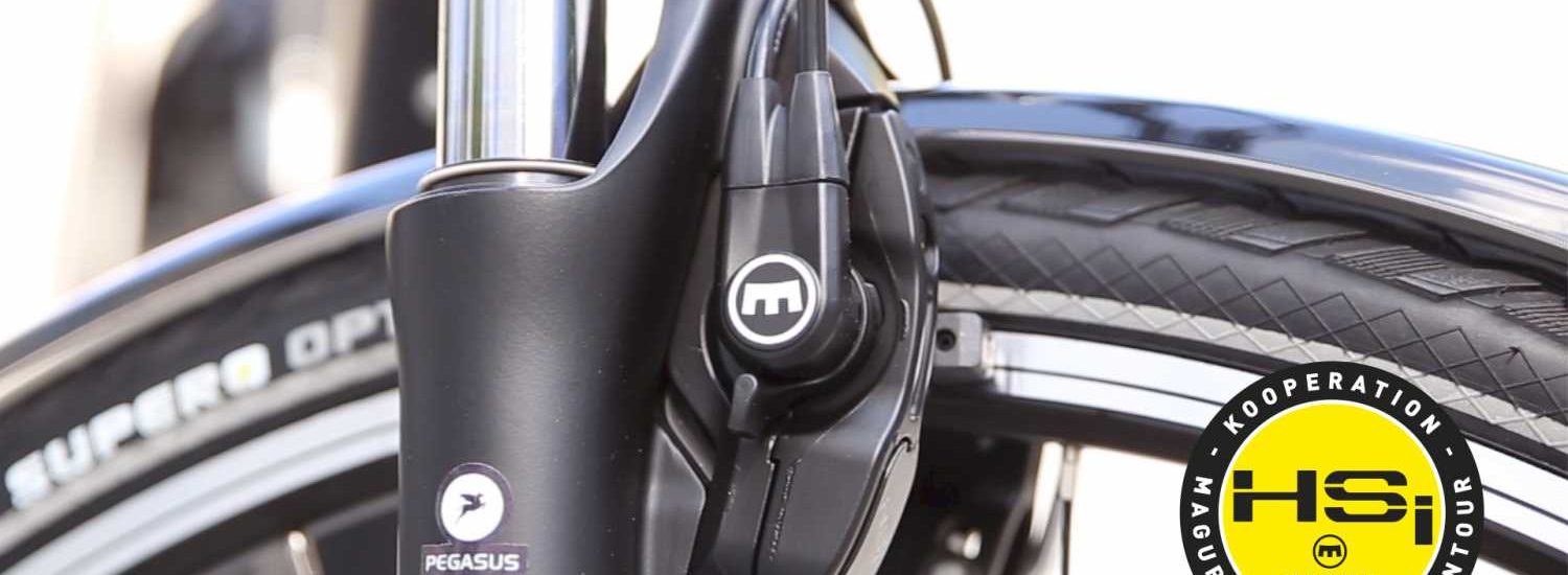 Magura HSi