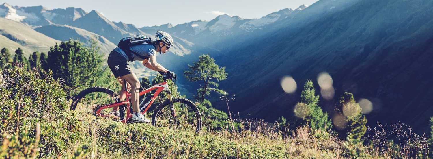 Transalp E-MTB
