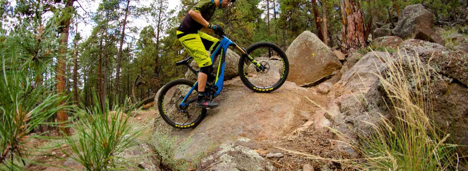Pivot Shuttle 2018