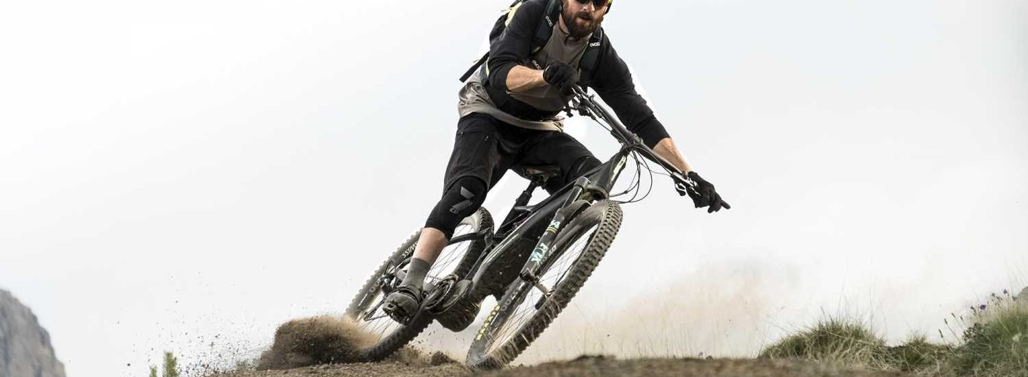 Orbea Wild FS