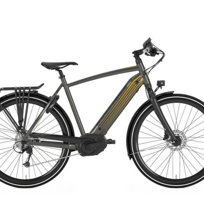 Gazelle 2018