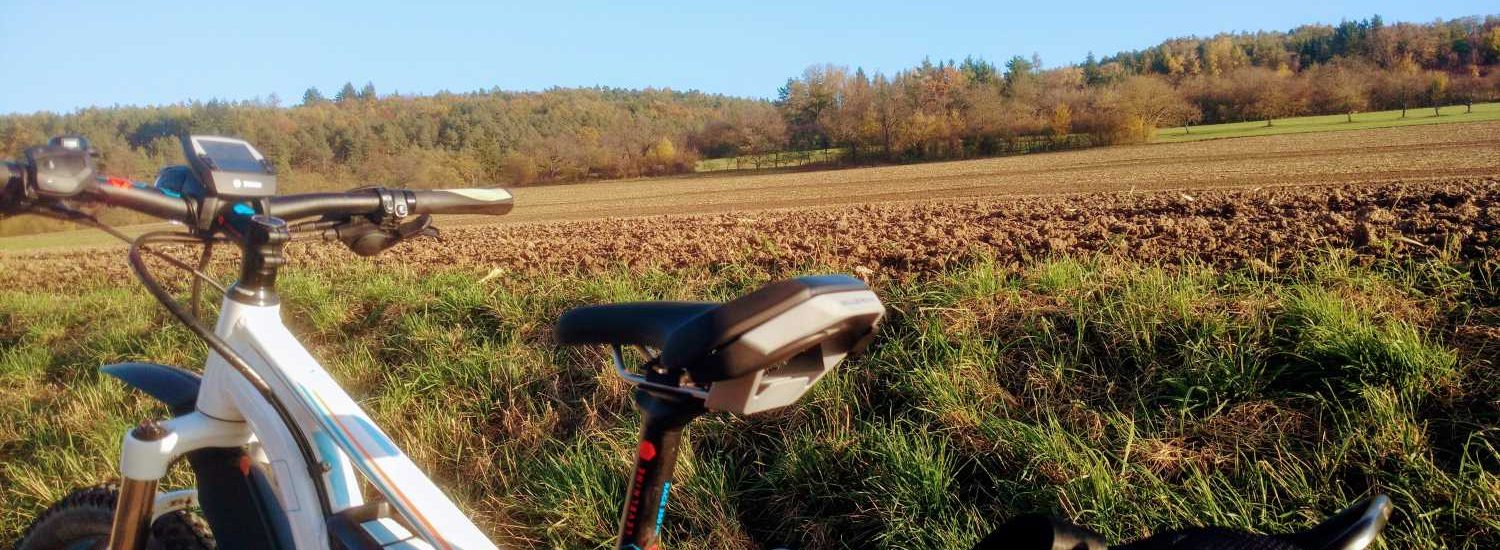 Selle Royal eZone Sattel Test 2017