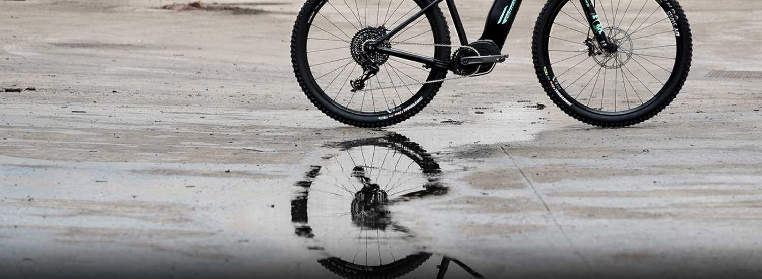 Orbea Wild 2018