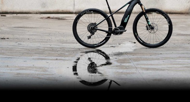 Orbea Wild 2018