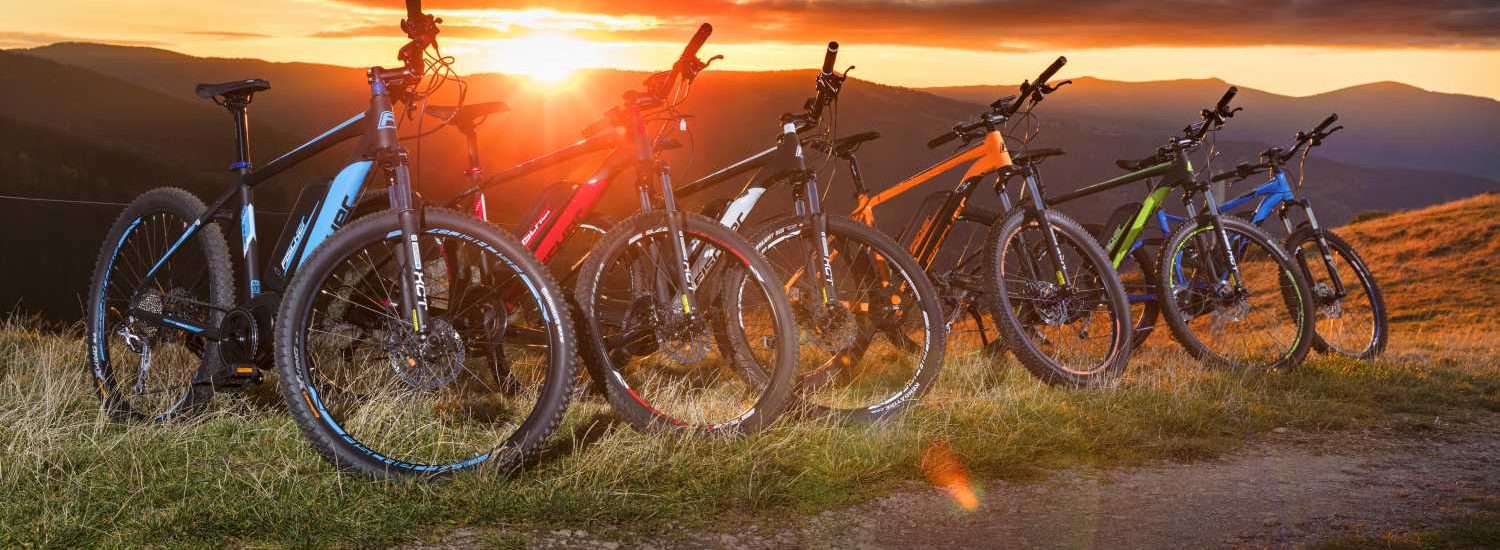 Fischer E-Bikes 2018