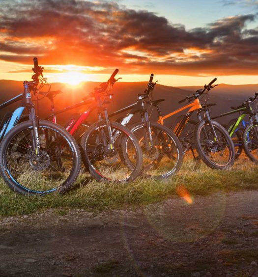 Fischer E-Bikes 2018