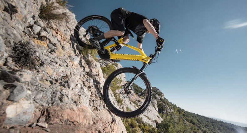 PEUGEOT eM02 FS Powertube