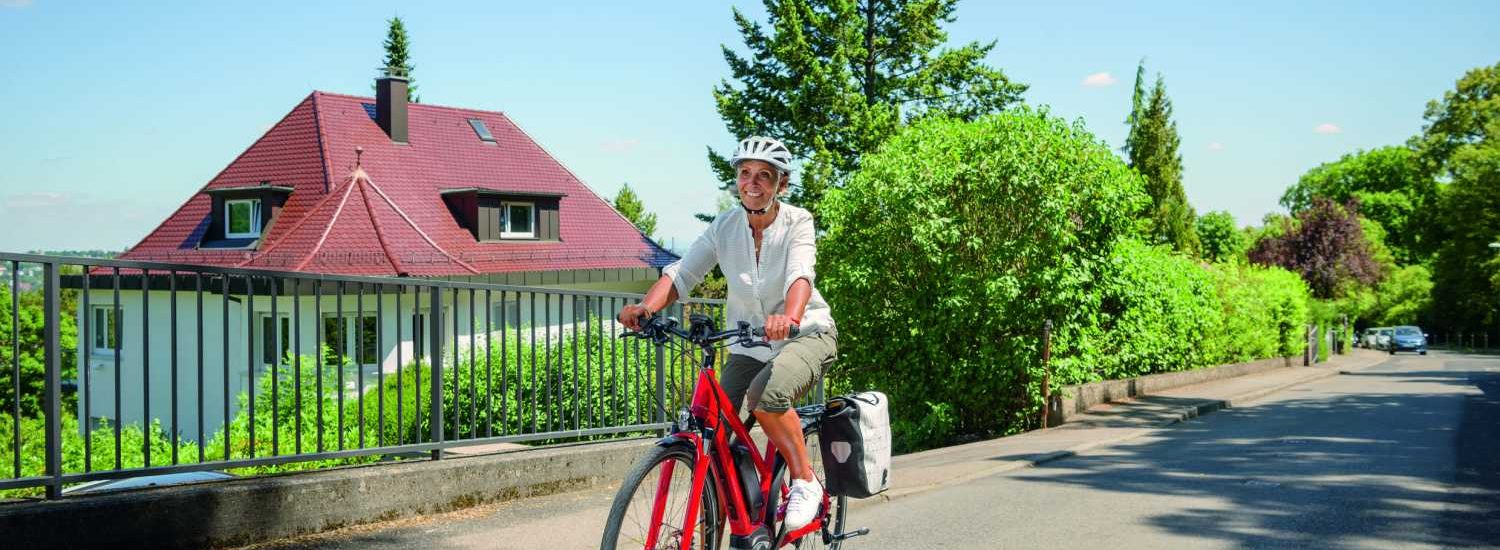Frühling eBike Check