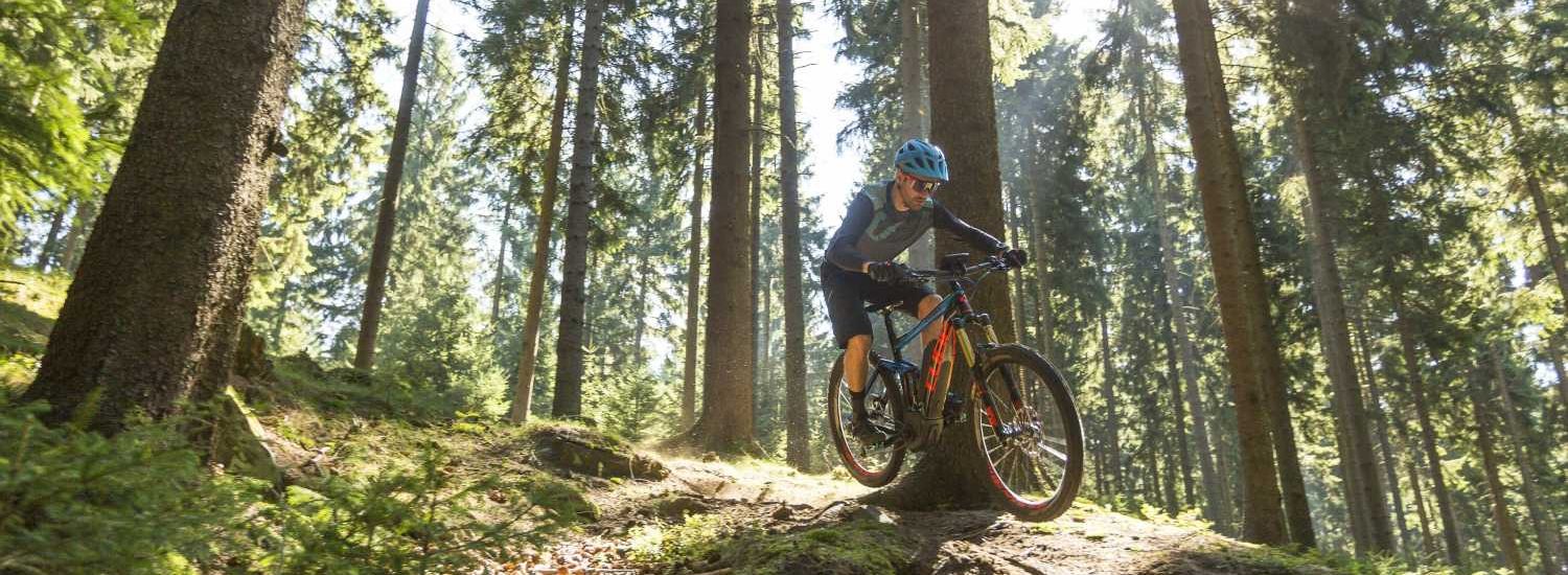 eBike Typ