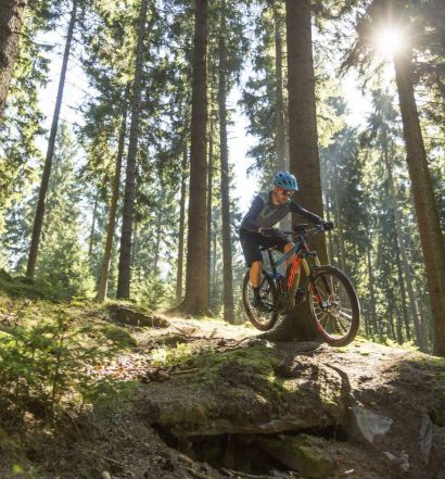 eBike Typ