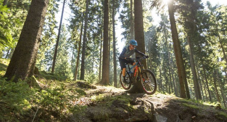 eBike Typ