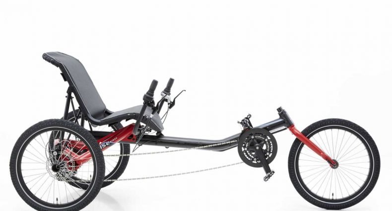 Hase Bikes Trigo 2018