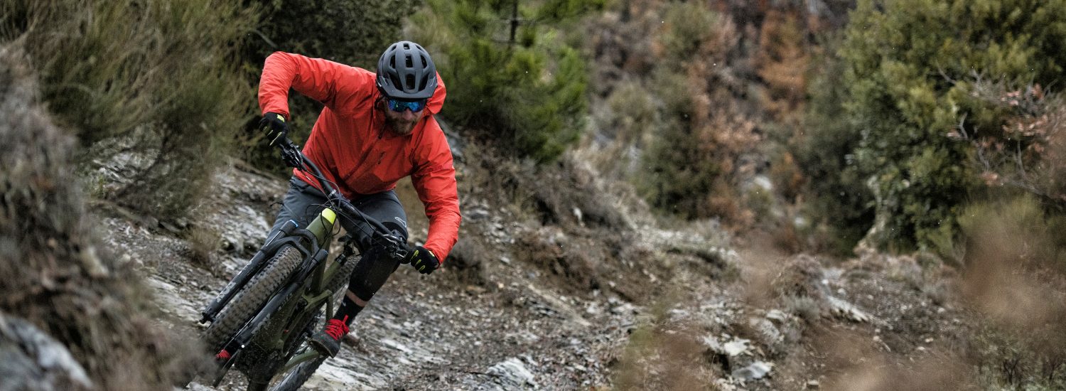 Trek Powerfly 2019