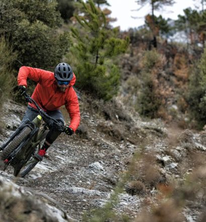 Trek Powerfly 2019