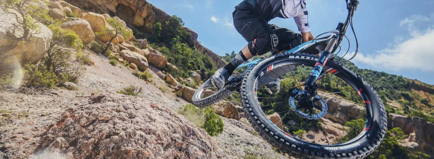 Mondraker 2019