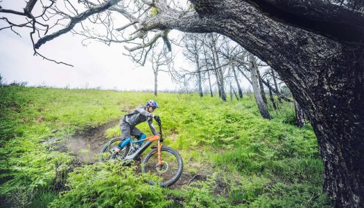 Cube 2019 – E-Bike Highlights für Trail und Straße (Teil 1)