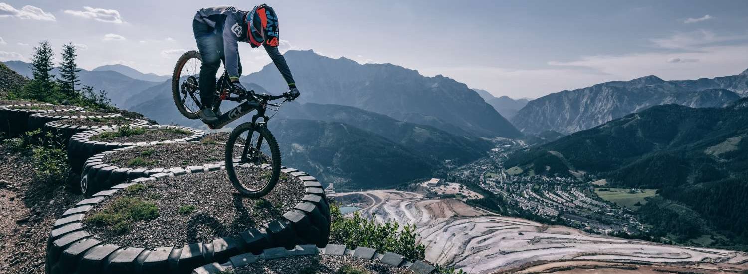 Erzbergrodeo 219
