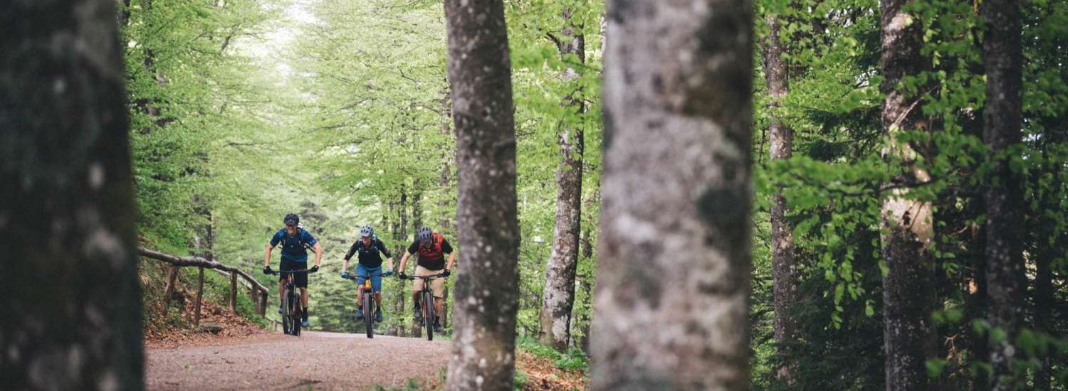 Cannondale Trail NEO 2019
