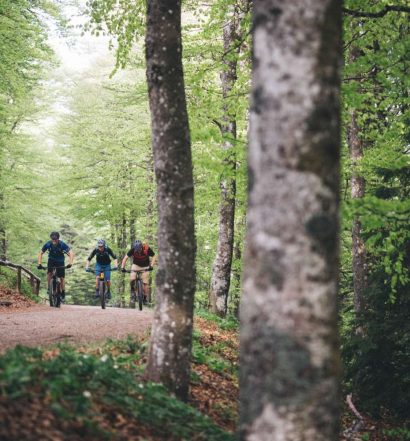 Cannondale Trail NEO 2019