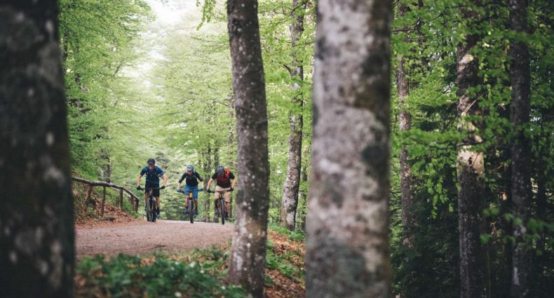 Cannondale Trail NEO 2019