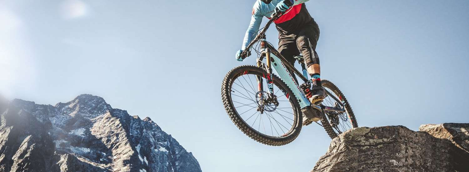 Mondraker Level 2019