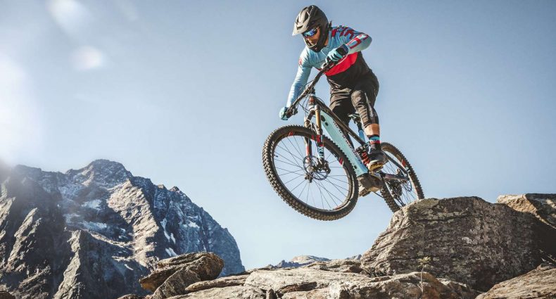 Mondraker Level 2019