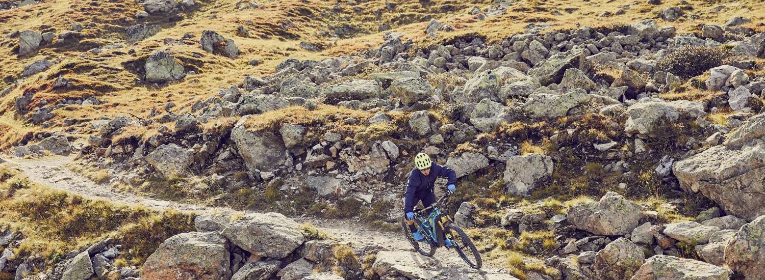 BMC Trailfox AMP SX 2019