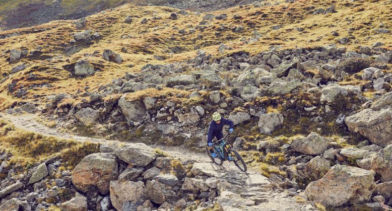 BMC Trailfox AMP SX 2019