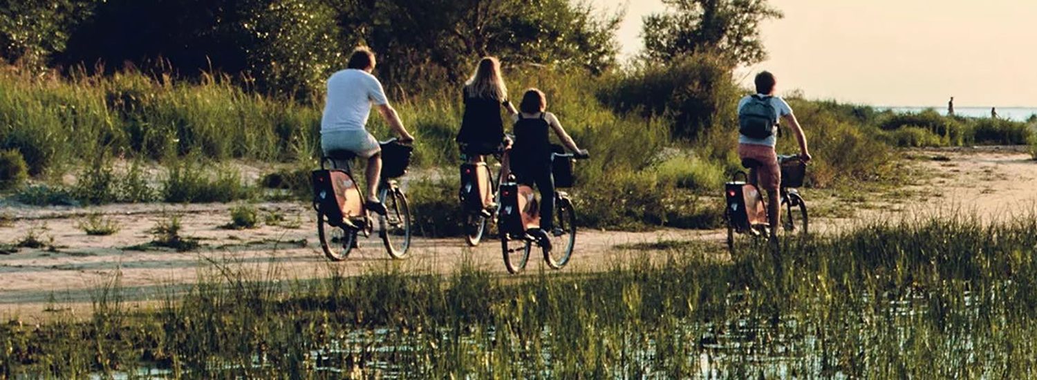 ASI Reisen E-Bike