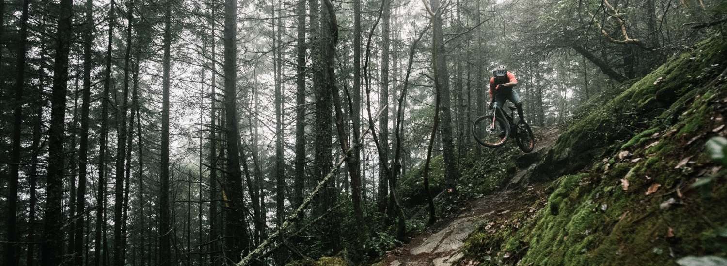 Rocky Mountain Altitude Powerplay Alloy 2019