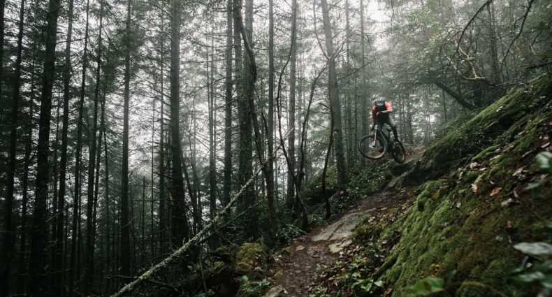 Rocky Mountain Altitude Powerplay Alloy 2019