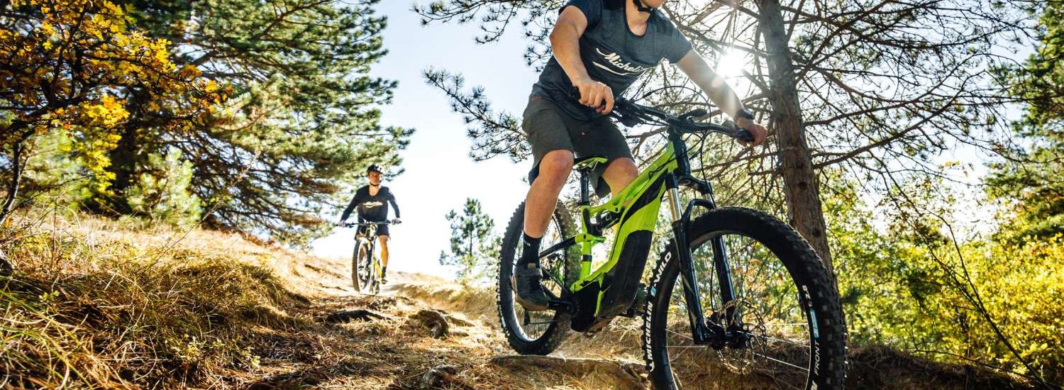 Michelin E-Wild 2019