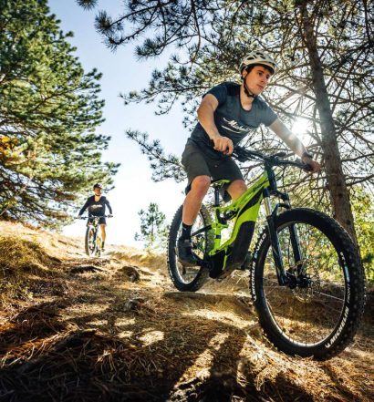Michelin E-Wild 2019