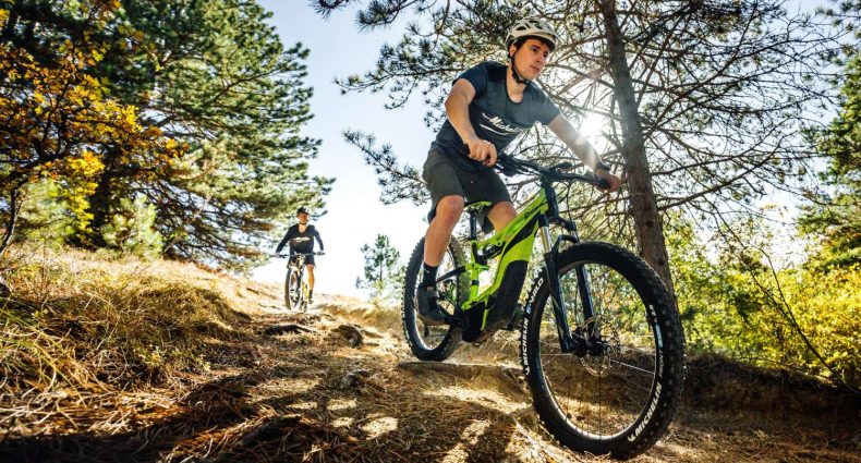Michelin E-Wild 2019