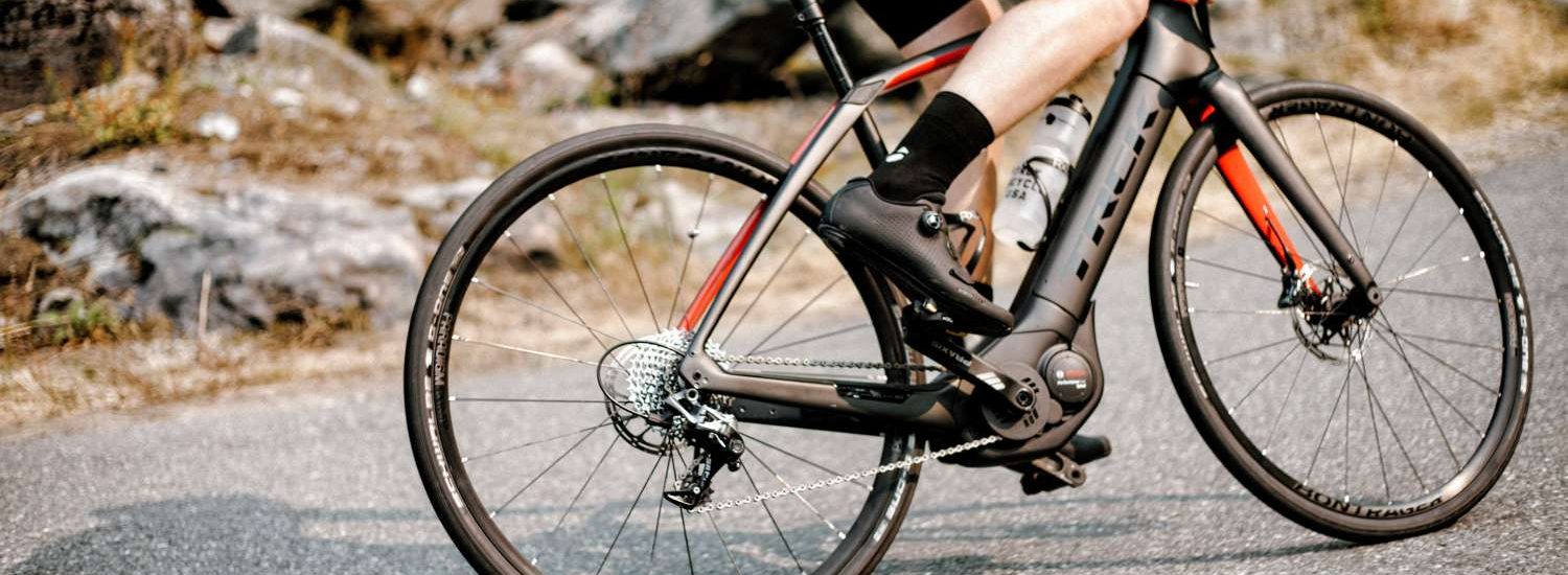 Trek Domane+ 2019