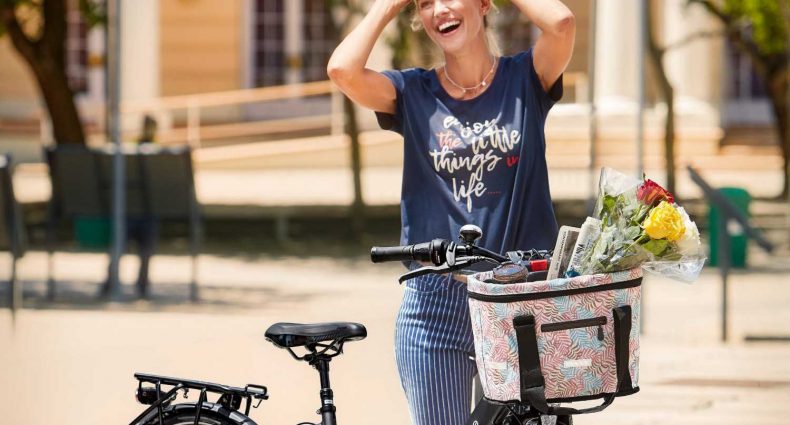 Aldi E-Bike 2019