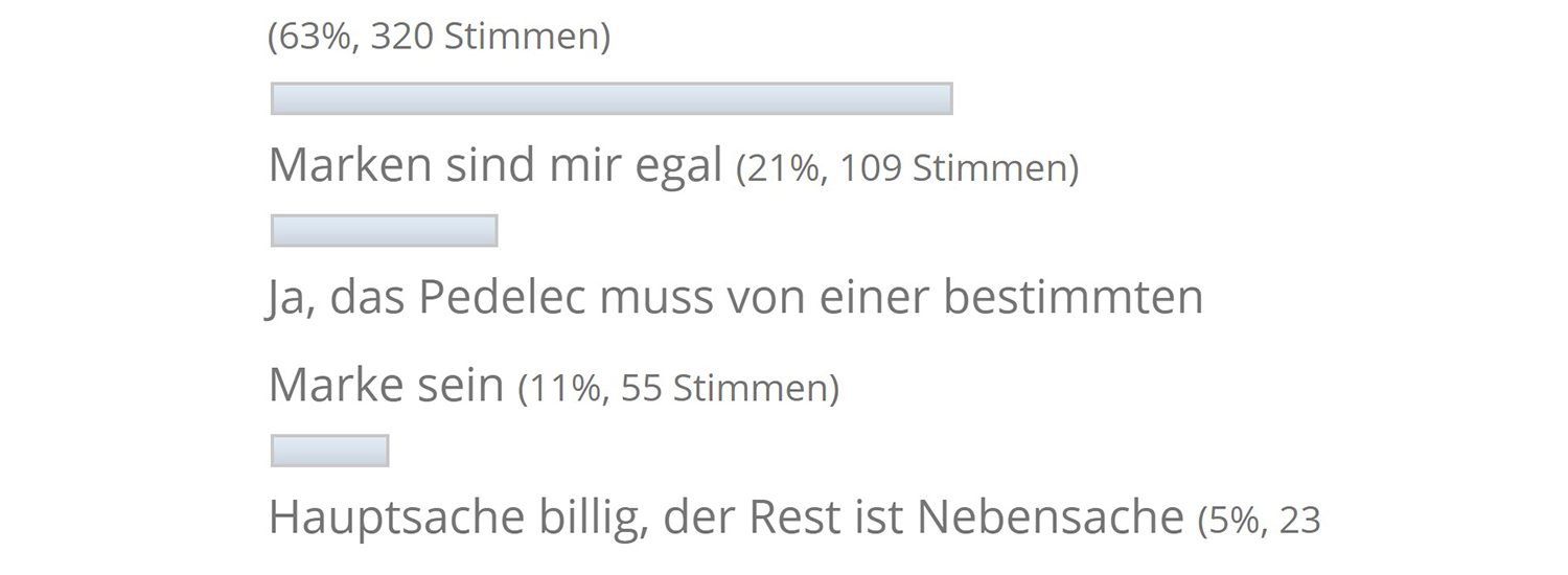 Pedelec Umfrage Marke 2019