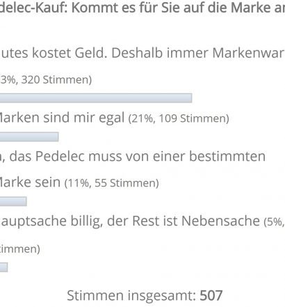 Pedelec Umfrage Marke 2019