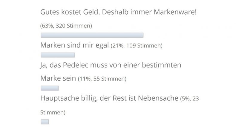 Pedelec Umfrage Marke 2019