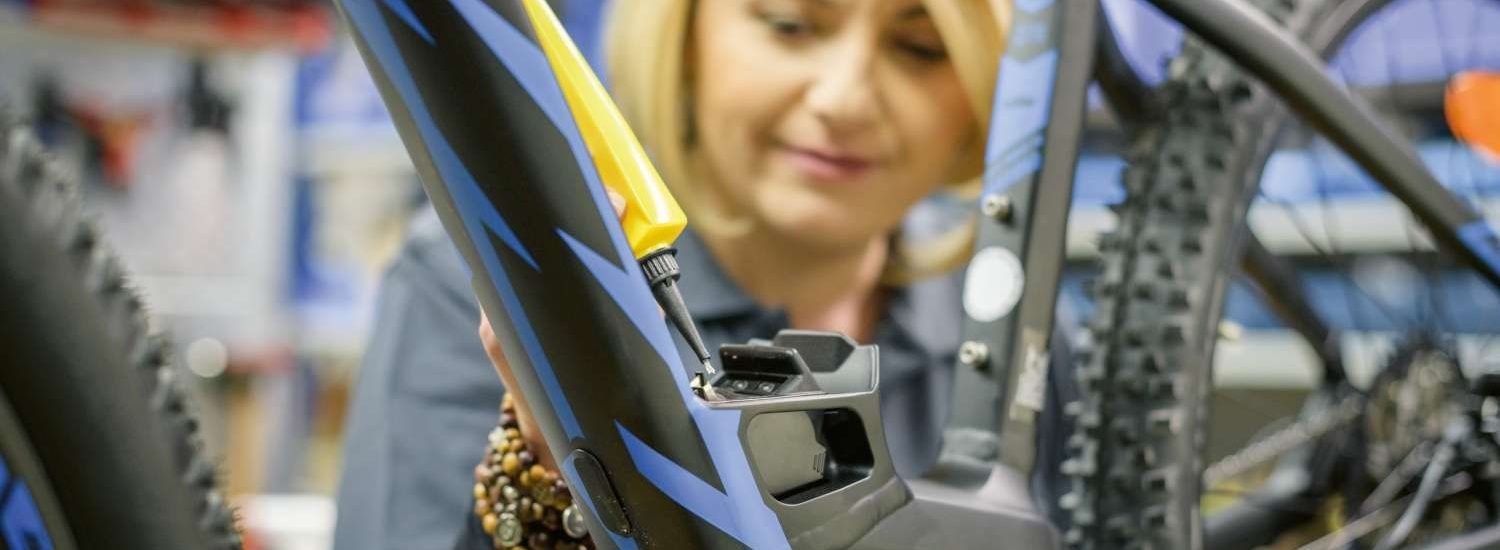 Bosch Magura Joint Venture